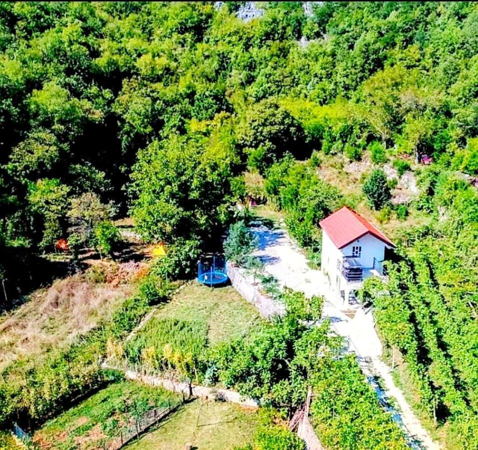 Apartments Stella Вирпазар Экстерьер фото